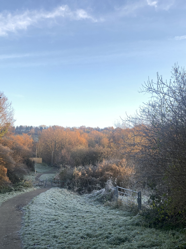 a frosty morning on the farm