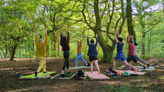 Colourful photograph of a yoga class in British woodland during Spring