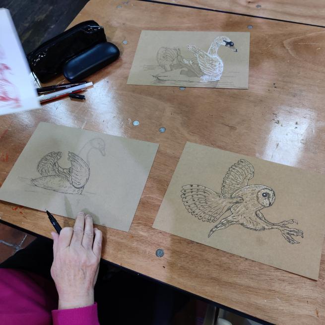 Three drawings of birds lay on a wooden table, a hand holding a pencil hovers near them