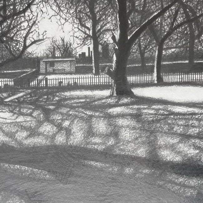 A photo of a pencil drawing of some trees