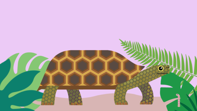 Illustration of a Sulcata Tortoise walking in leaves