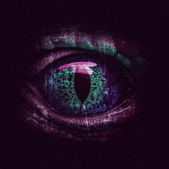 Snake eye image