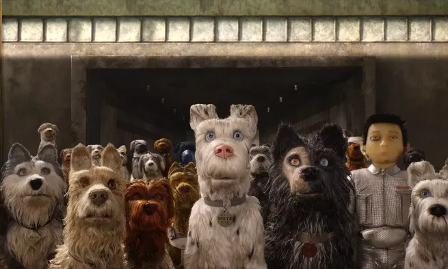 A variety of dogs in a line.