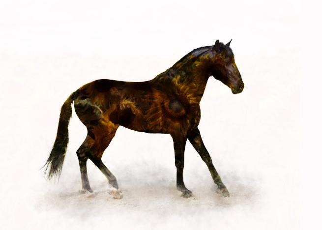 Sunflower Stallion - A lusitano stallion with an overlay of sunflowers.