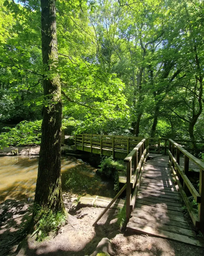 Photograph of a bridge at Meanwood Park 