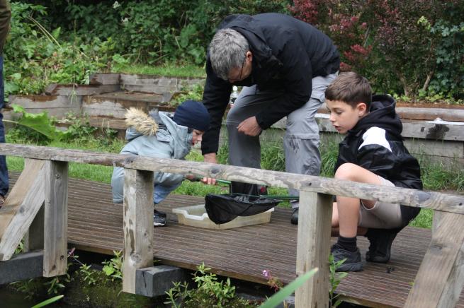 A man and two boys pond dipping