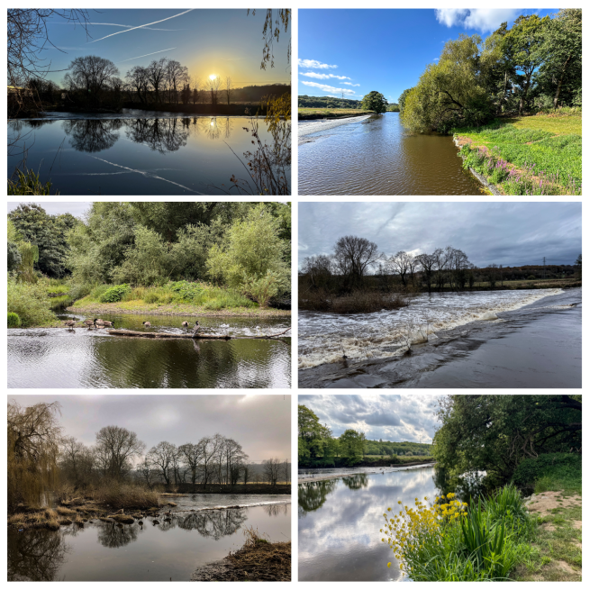 The River Aire at Kirkstall, shown in six images taken in different seasons.
