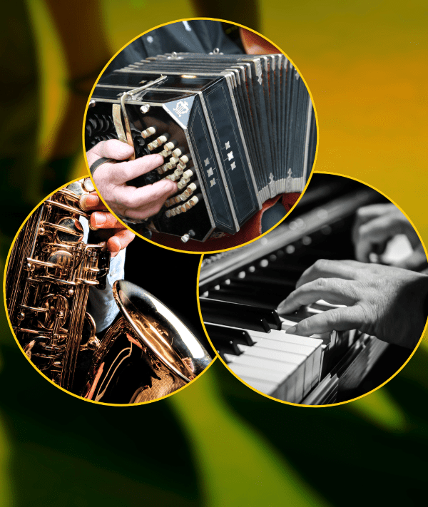 musical instruments