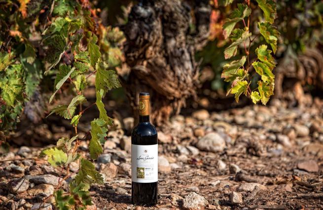 Bodegas Leza Garcia