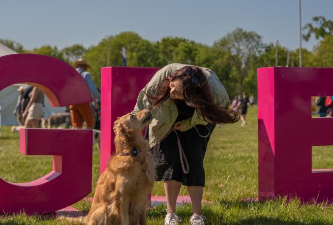Golden retriever being petted by female owner in front of pink dogfest signage