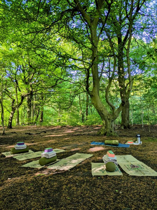 woodland yoga set up