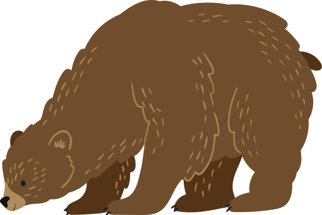 An illustration of a brown bear sniffing the ground