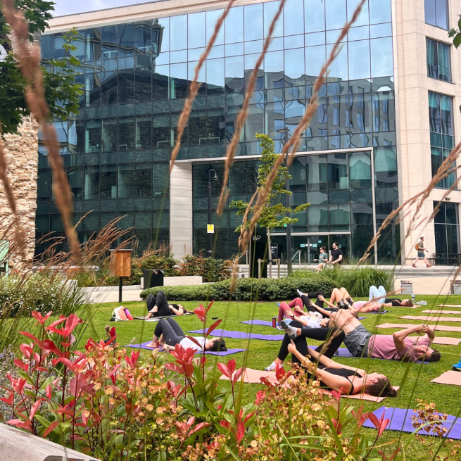 A group of people lying on yoga mats on the grass 