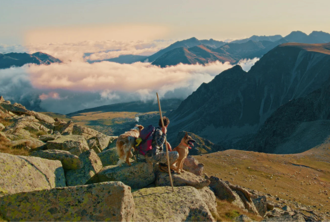 An image of the mountains from the 2025 Frontier Sapiens Film Festival line-up