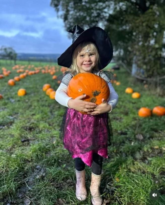 Girl holding a pumpkin in a field in the evening 