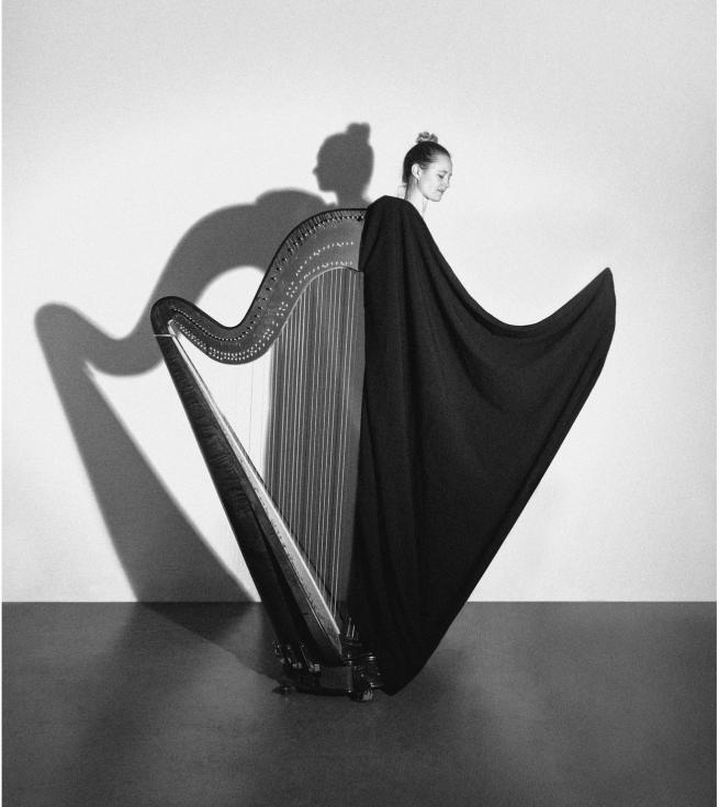 the harpist with harp