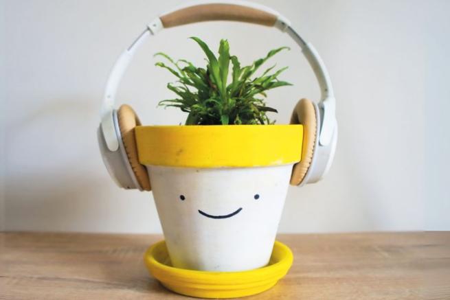 A plant in a pot with a smiley face and headphones on. 