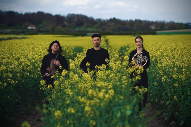 Three musicians stood in a field with their instruments. 