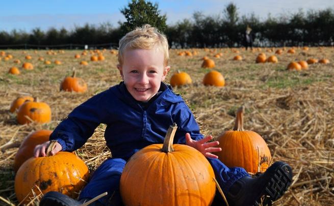 Photograph of boy in pumpkin patch