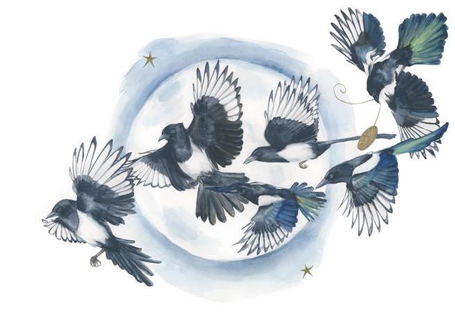 Watercolour painting of five magpies in flight, one holding a gold coin in its beak. The colours are deep blues and turquoises, and theres a couple of gold stars surrounding the moon which sits behind the magpies.  