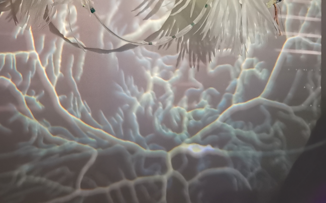 A microscope image of a neuron is projected onto part of a neuron model.