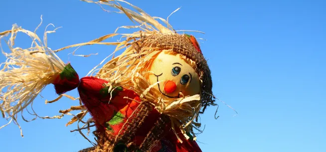 Photo of a scarecrow