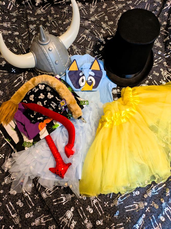 Dress up Viking helmet, top hat, patterned t-shirts, devil's tails, lion's tail, Bluey dress and yellow tutu. 