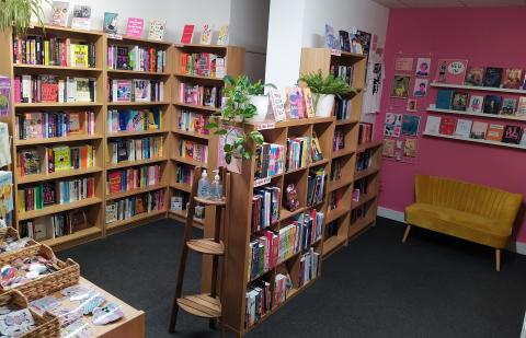 Bookcases filled with books against a white wall with a back wall painted pink and three rows of books facing outwards