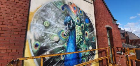 Work in progress of peacock mural on red brick wall
