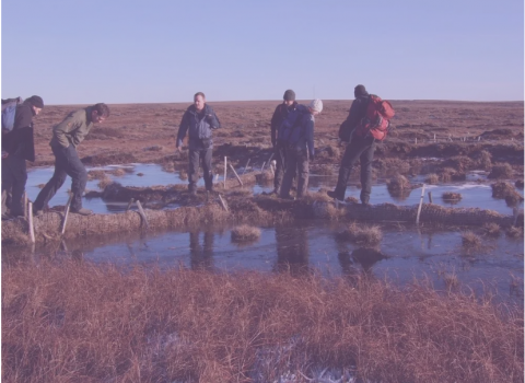 people standing by a bog