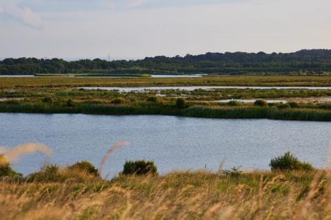 a view of St Aidan's Nature Park 