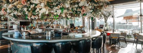 Angelica & Crafthouse