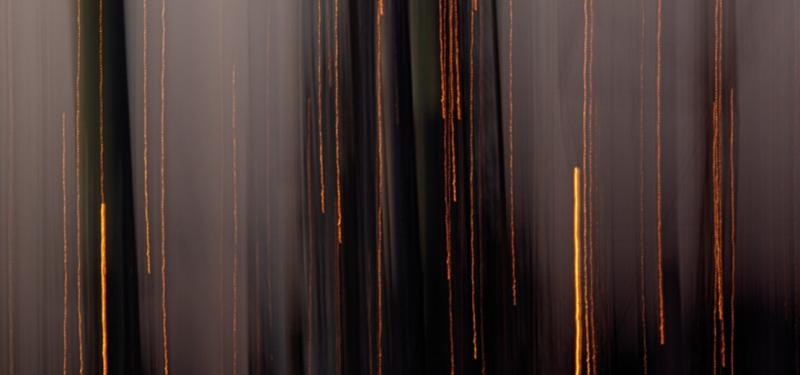 Leeds Arts University Postgraduate Show 2020