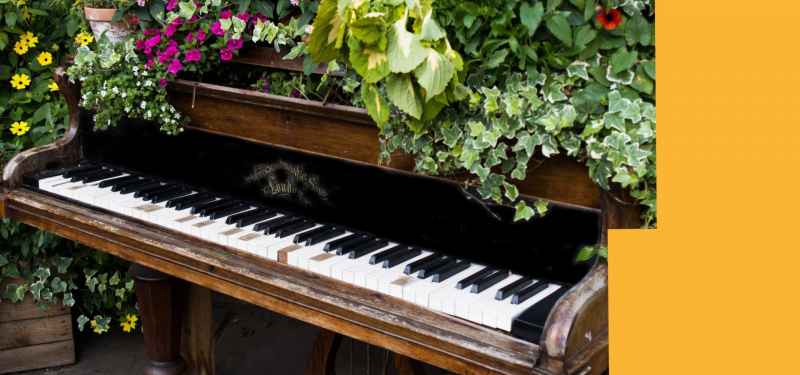 The Leeds Piano Trail | Come Along and Plant