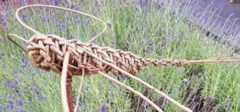 Willow Weaving Sculpture Workshop for Adults