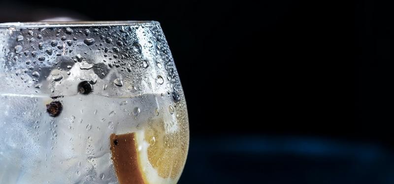 Sip Along with Masons of Yorkshire gin