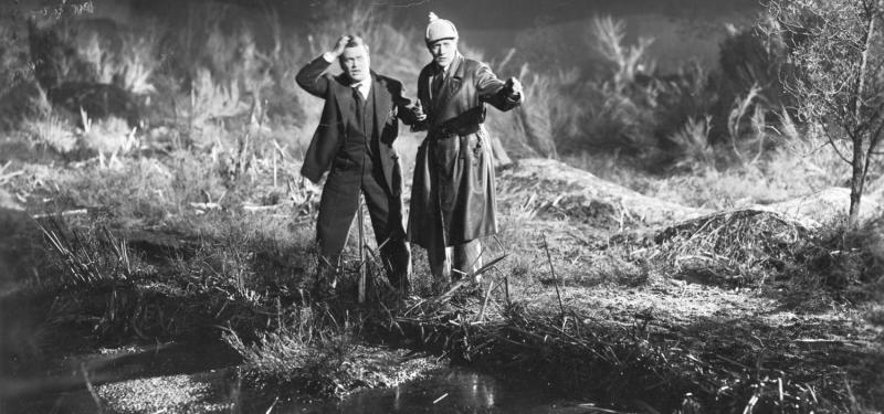 The Hound of the Baskervilles