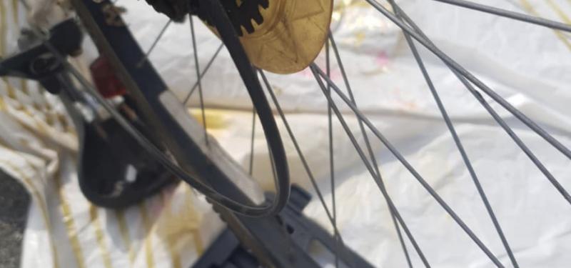 Beryl's Bloomin' Bikes