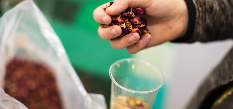 October Half Term Bug Trail & Natural Craft Sessions