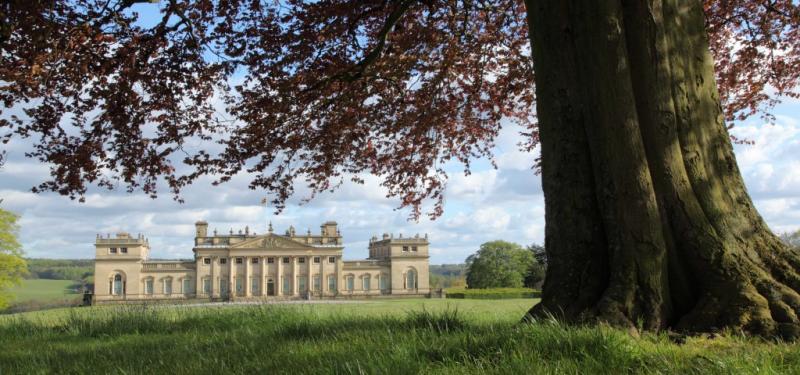 The Big Harewood Walk