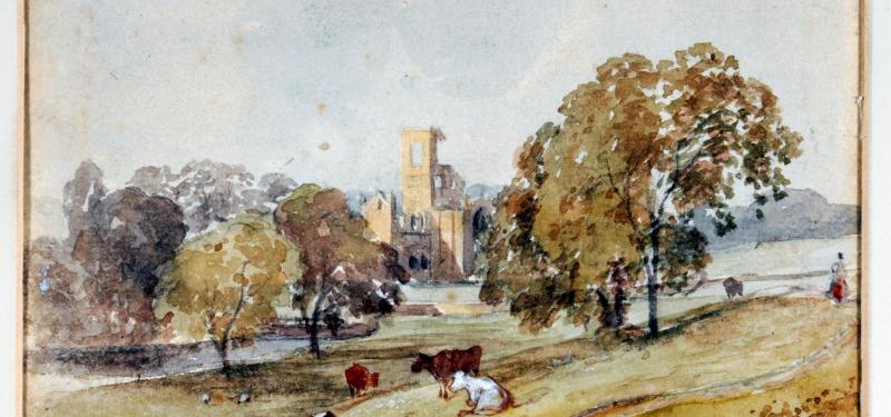 Growing On History: The Natural History of Abbeys, Castles and Ruins