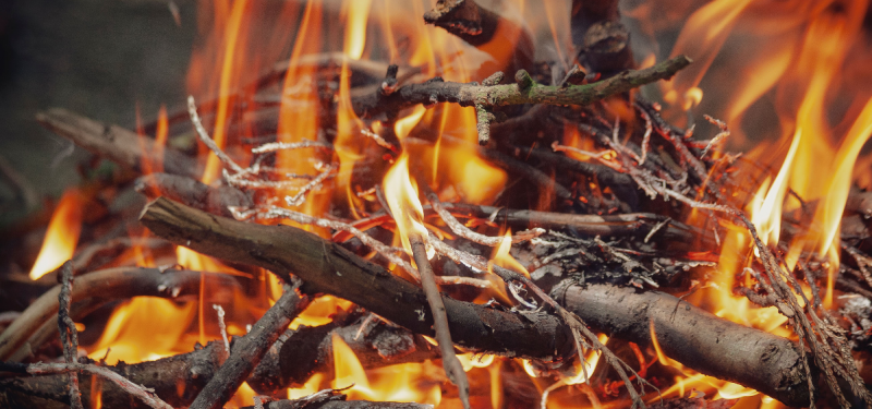 Open Source Arts Virtual Campfire: An Online Open Mic! Open Source Arts Virtual Campfire: An Online Open Mic!