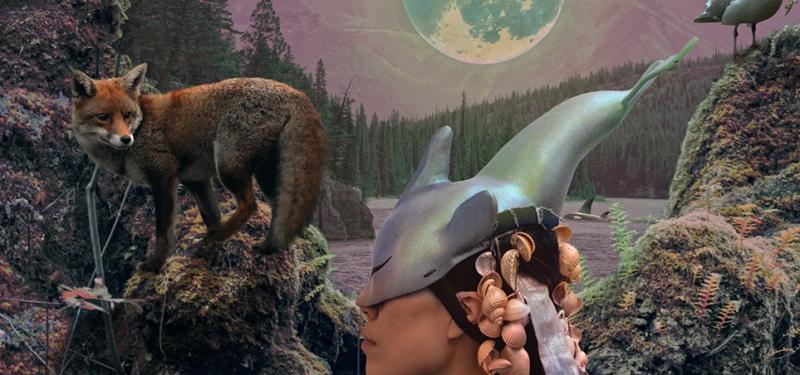 Zadie Xa: Moon Poetics 4 Courageous Earth Critters and Dangerous Day Dreamers
