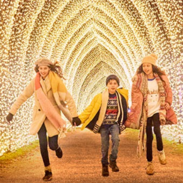 Christmas at Temple Newsam