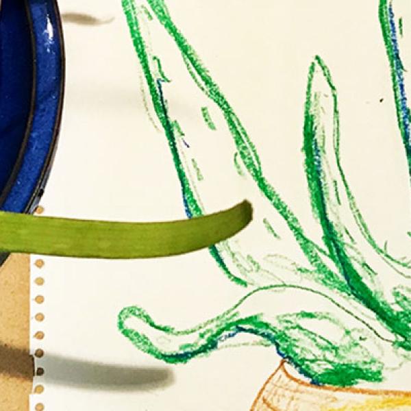 Workshop.: Botanical Drawing Workshop