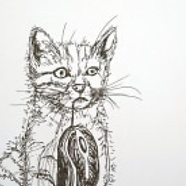 Pen and Ink Drawing Class
