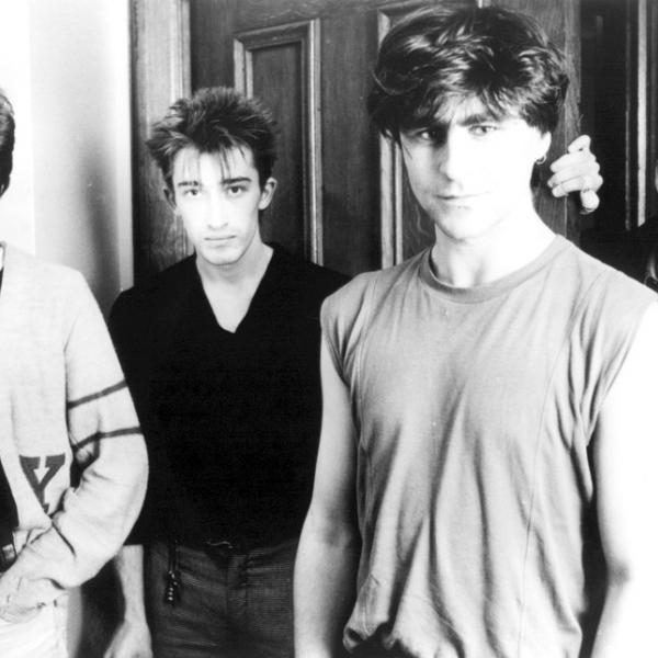 Chameleons & The Membranes