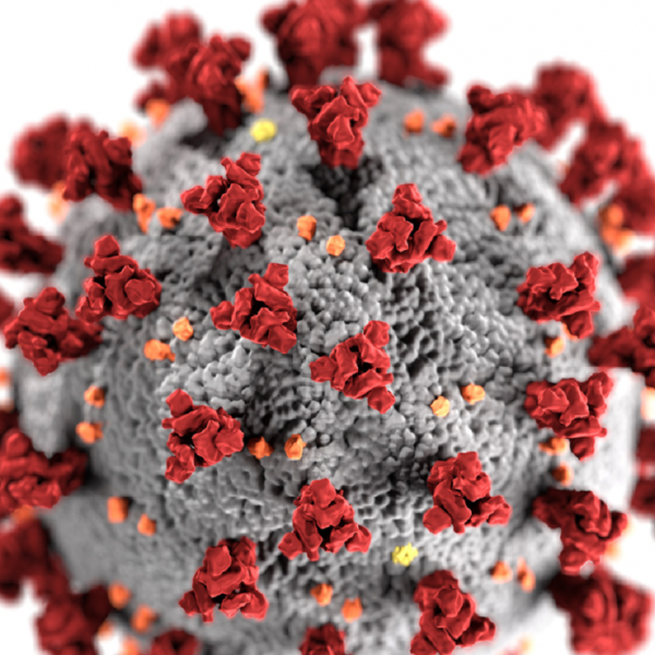 INSIGHTS Annual Lecture Series: Infectious Diseases - Online Lecture