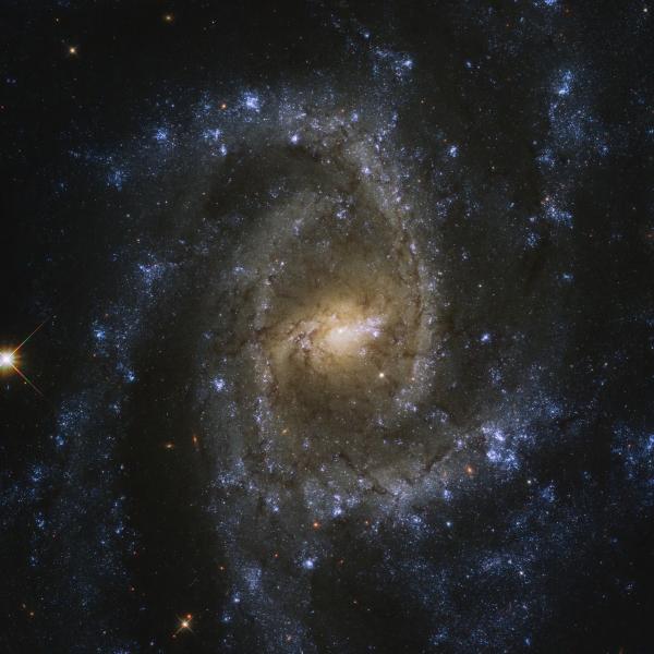 Other Suns and Other Worlds - Bolton Lecture in Astrophysics 2020