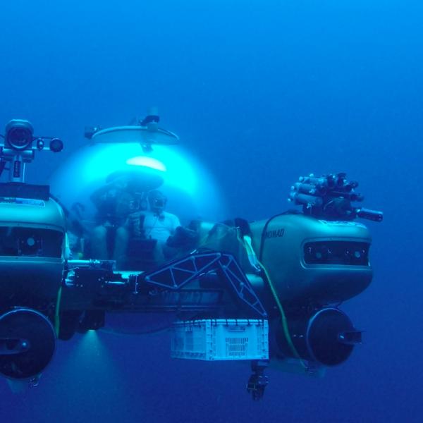 Deep Ocean Lab with Greg Foot @ Be Curious 2020